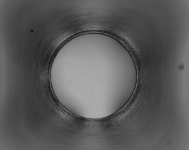 X0000089361073200707131610