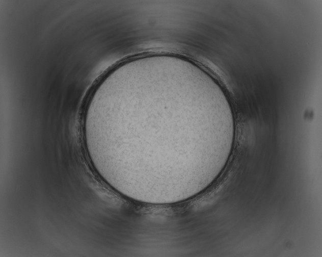 X0000089361074200707131610