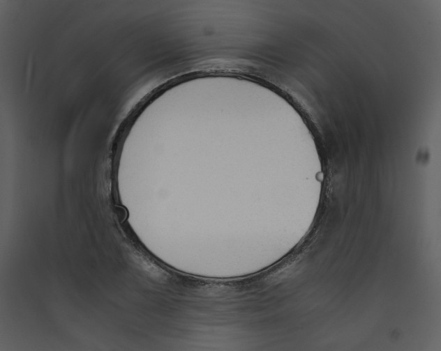 X0000089361075200707131610