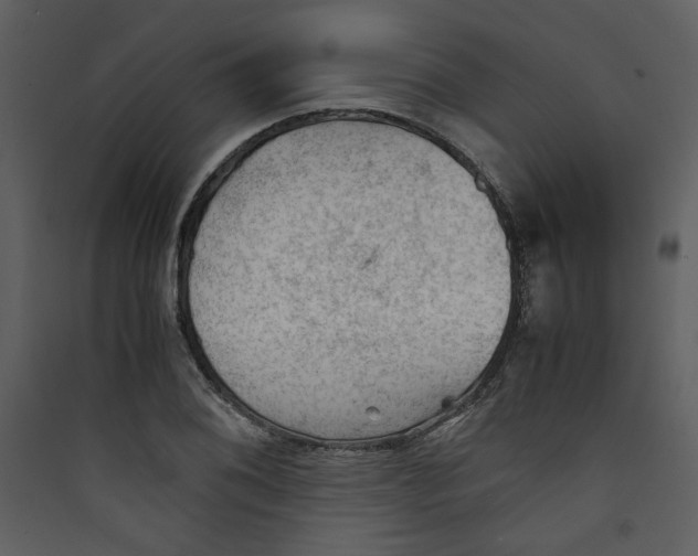 X0000089361076200707131610