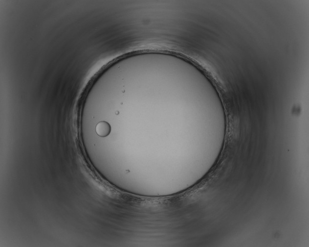 X0000089361078200707131610