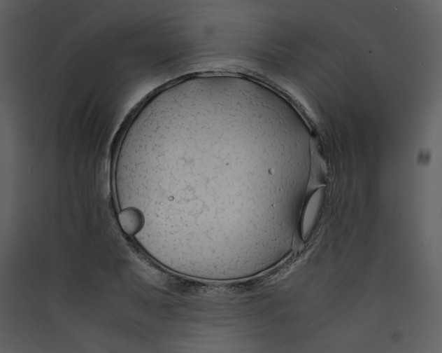 X0000089361079200707131610