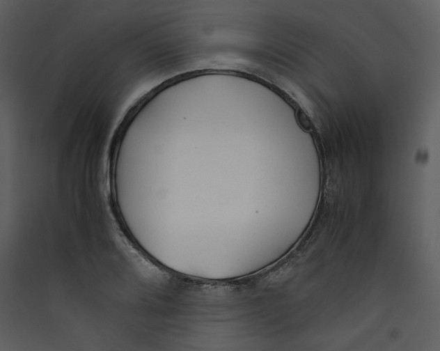 X0000089361080200707131610