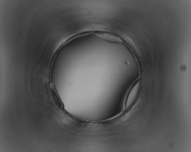 X0000089361081200707131610