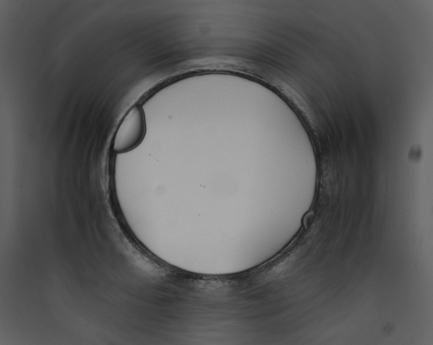 X0000089361082200707131610