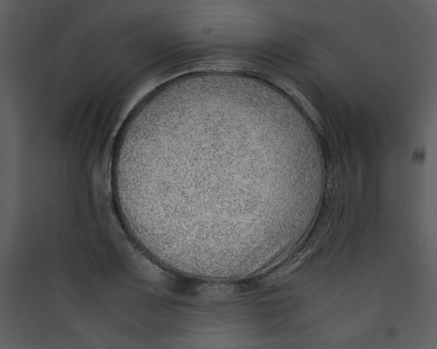 X0000089361083200707131610