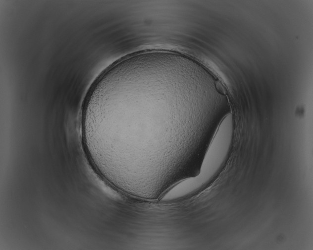 X0000089361084200707131610