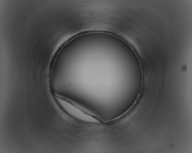 X0000089361085200707131610