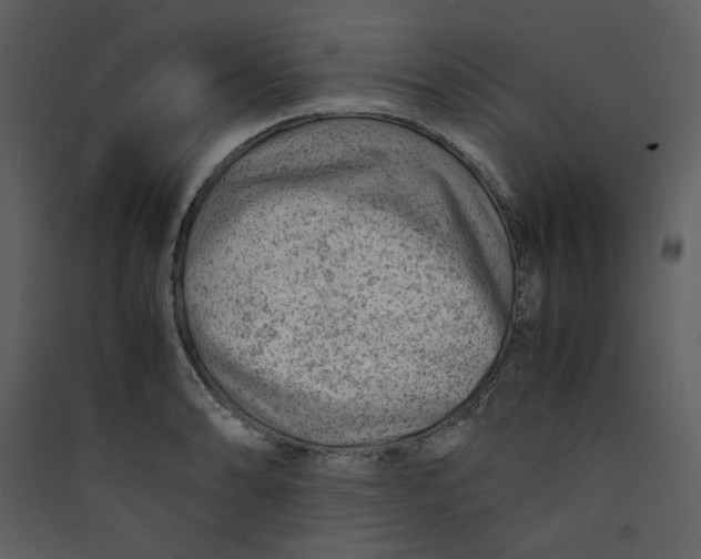 X0000089361086200707131610