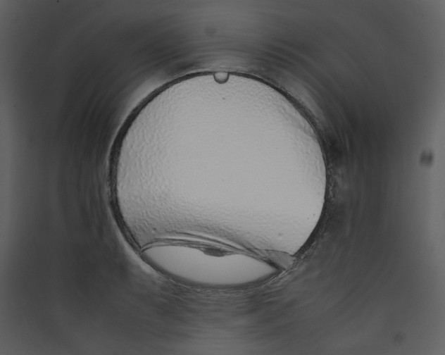 X0000089361087200707131610