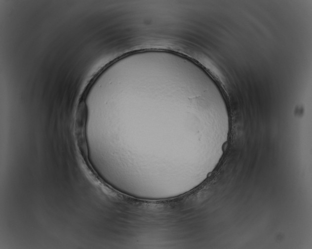 X0000089361088200707131610