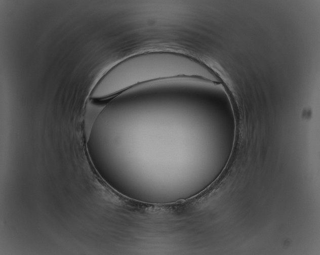 X0000089361089200707131610