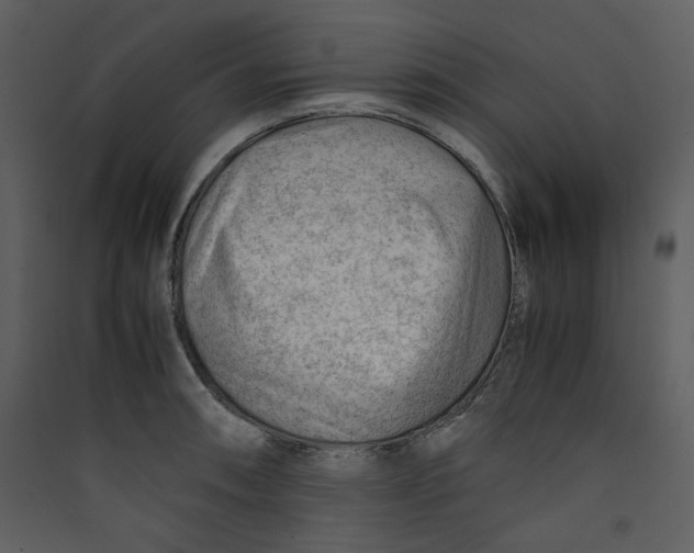 X0000089361090200707131610