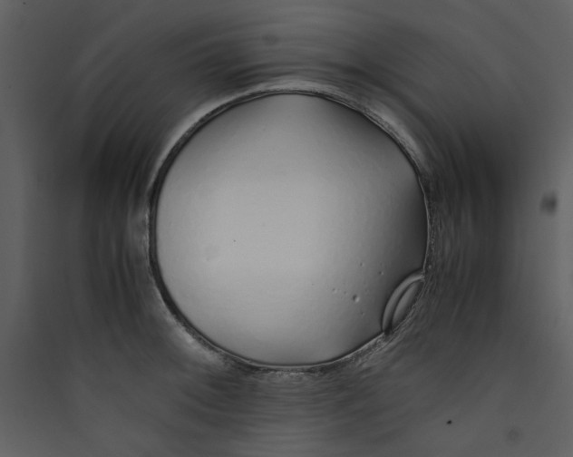 X0000089361092200707131610