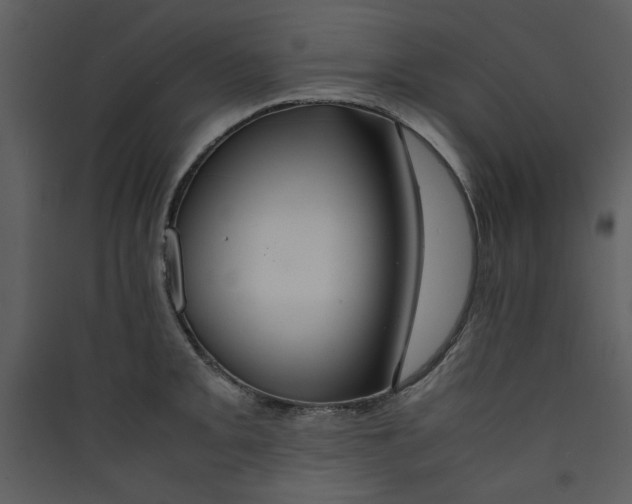 X0000089361093200707131610