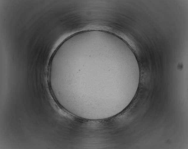 X0000089361094200707131610
