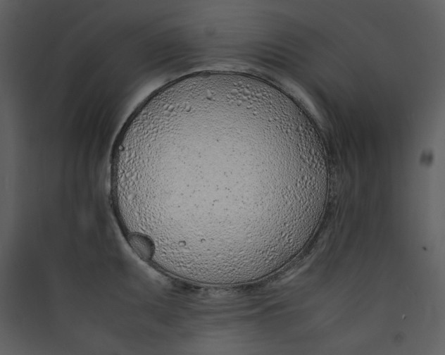 X0000089361095200707131610
