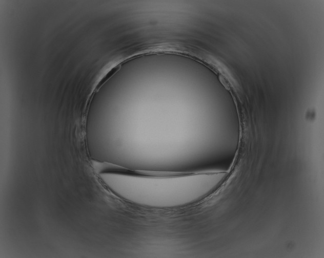 X0000089361097200707131610