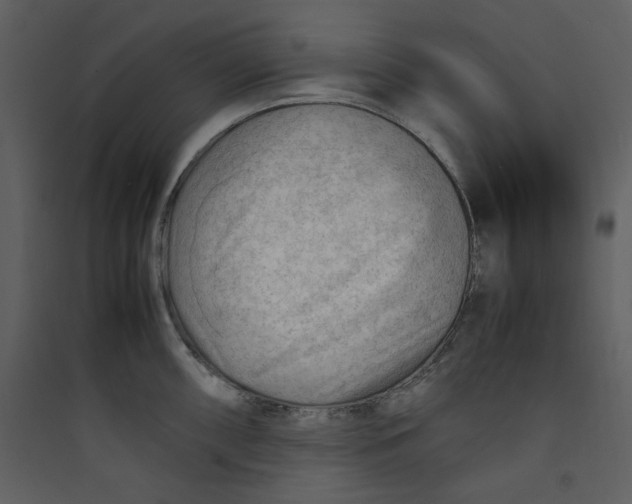 X0000089361098200707131610