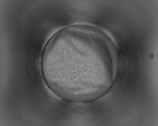 X0000089361100200707131610