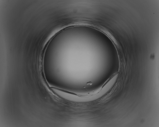 X0000089361101200707131610