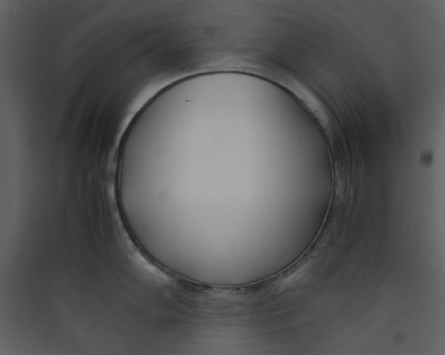 X0000089361102200707131610