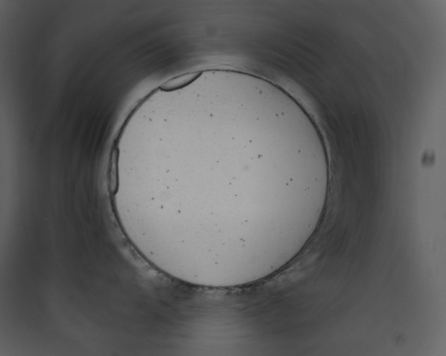 X0000089361104200707131610