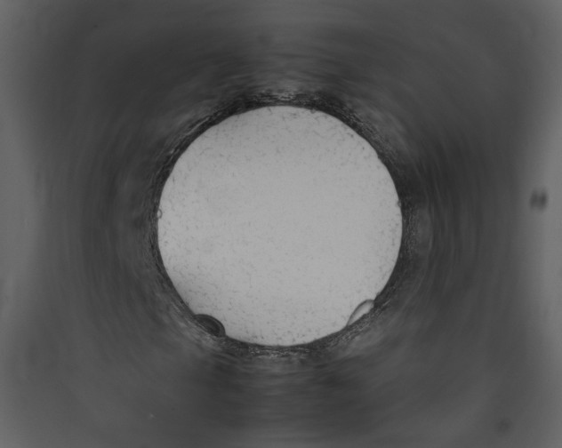 X0000089361105200707131609
