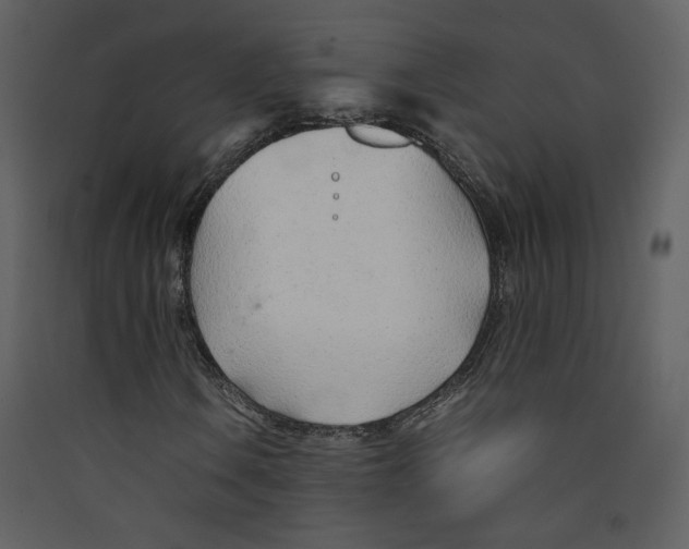 X0000089361106200707131609