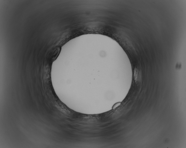 X0000089361107200707131609