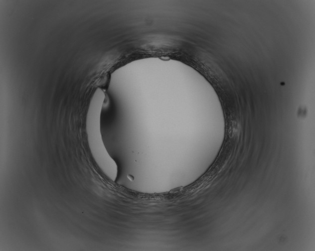 X0000089361108200707131609