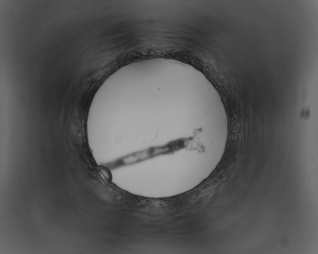 X0000089361109200707131609