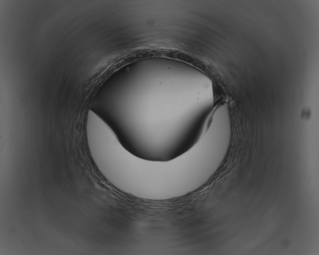 X0000089361110200707131609