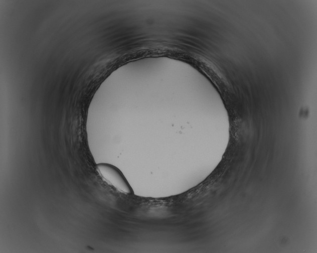X0000089361111200707131609