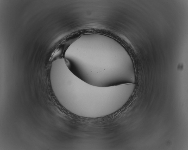 X0000089361112200707131609