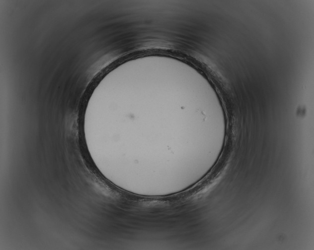 X0000089361113200707131609