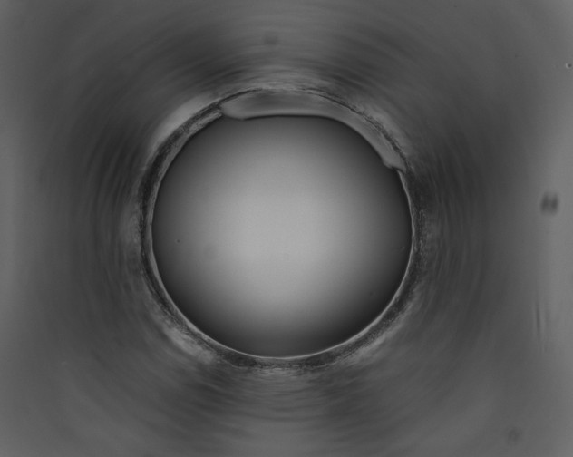 X0000089361114200707131609