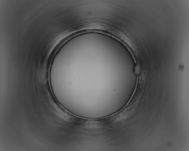 X0000089361116200707131609