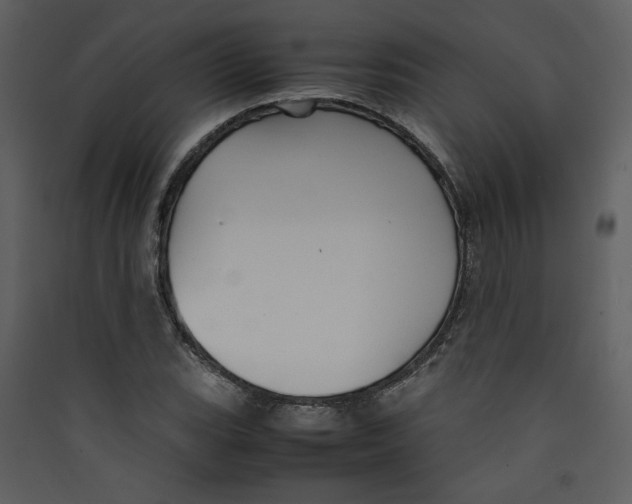 X0000089361119200707131609