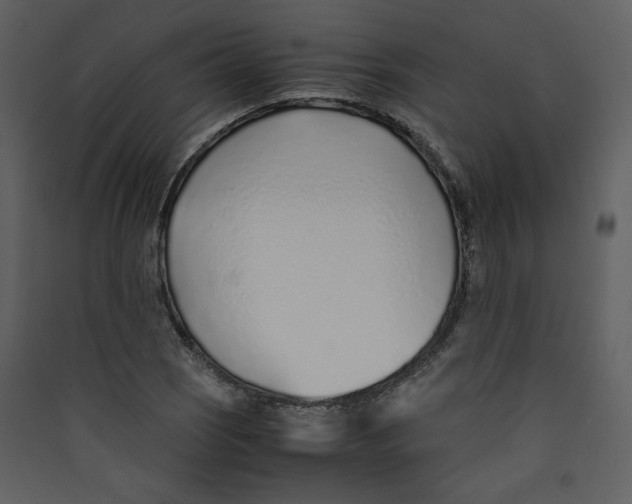 X0000089361121200707131609
