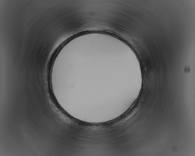 X0000089361122200707131609
