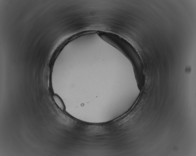 X0000089361123200707131609