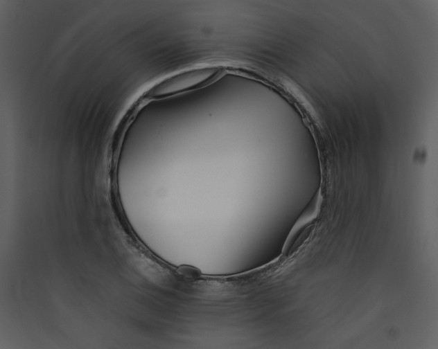 X0000089361124200707131609