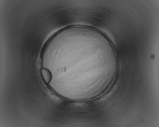 X0000089361125200707131609
