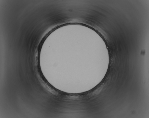 X0000089361126200707131609