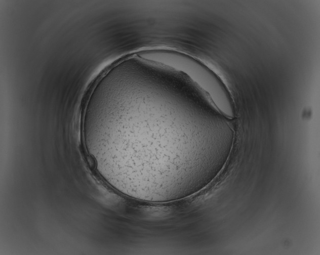 X0000089361127200707131609