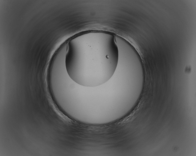 X0000089361128200707131609