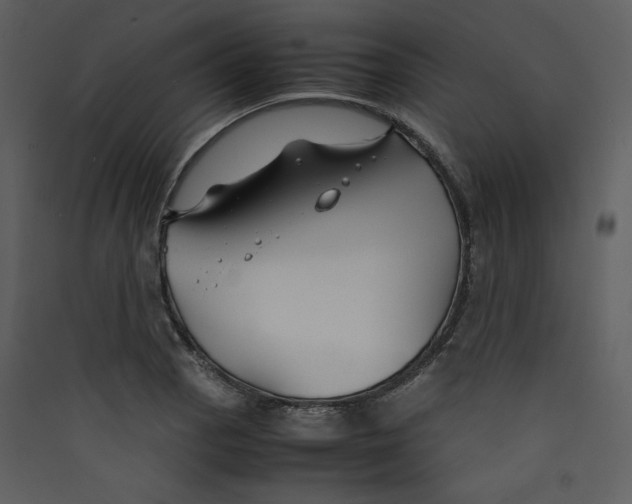 X0000089361129200707131609