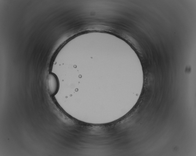 X0000089361130200707131609