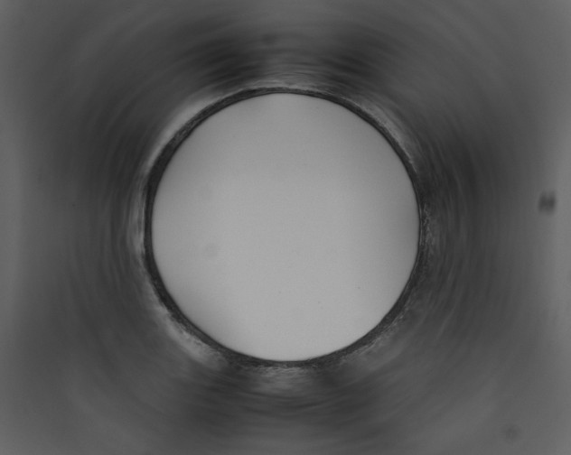 X0000089361131200707131609